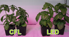 Led grow light