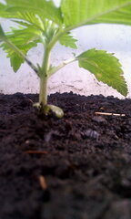 IMG 20140423 171015