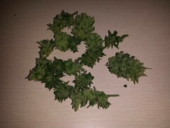 M (3)