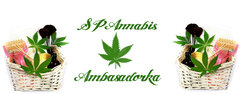 SPAnnabis - Kosmetyki Naturalne z konopią Ambasadorka