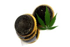 SPA Cannabis   Kosmetyki Ambasadorki Peeling Konopno&Kawowy