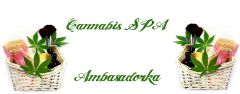 Cannabis Spa Kosmetyki Konopne Ambasadorka