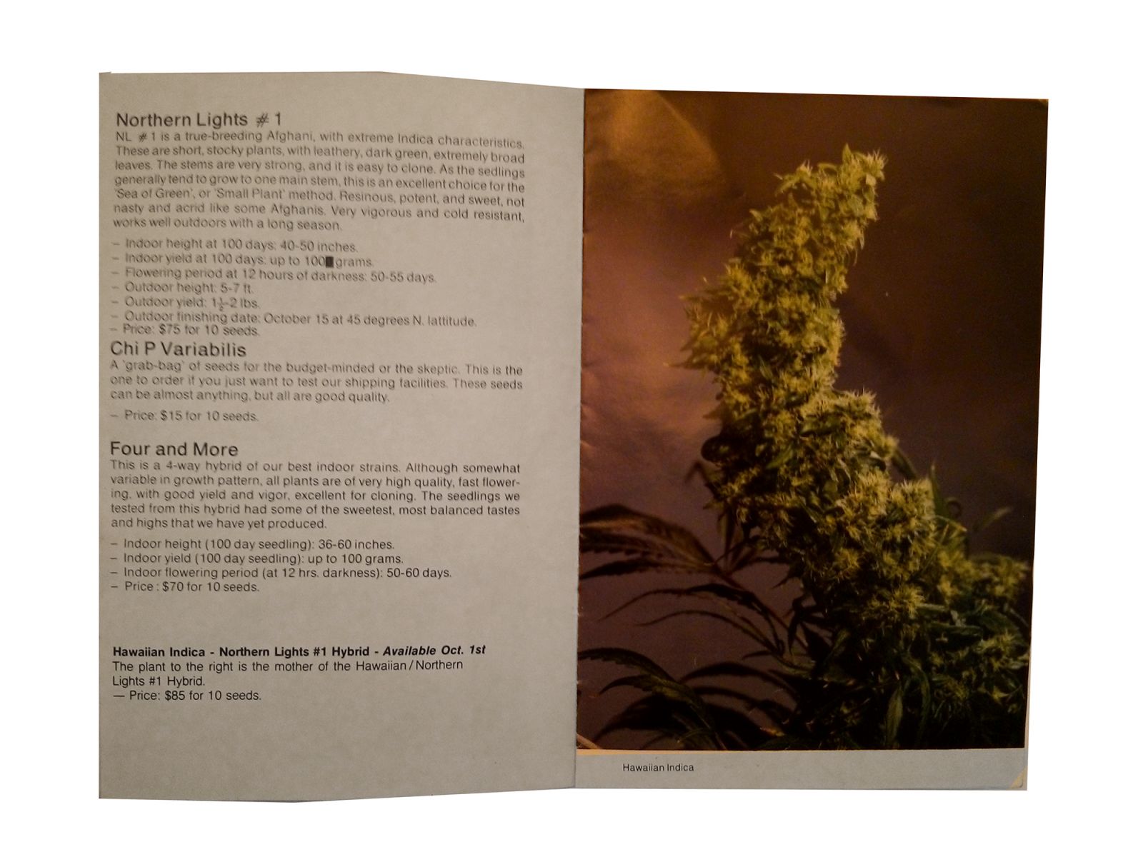 The Seedbank   katalog nasion Z 1988 roku   strona 3
