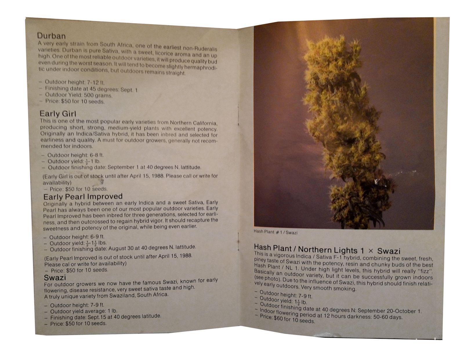 The Seedbank   katalog nasion Z 1988 roku   strona 6