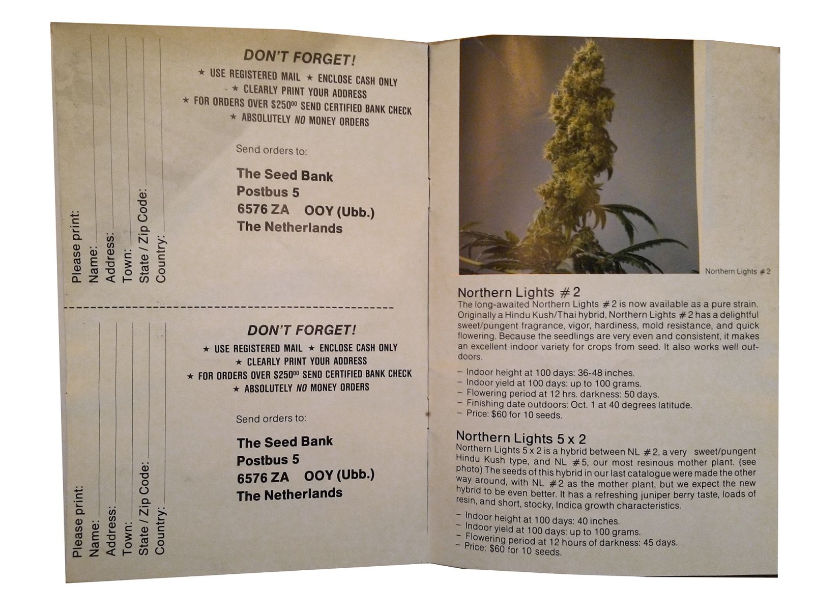 The Seedbank   katalog nasion Z 1988 roku   strona 7