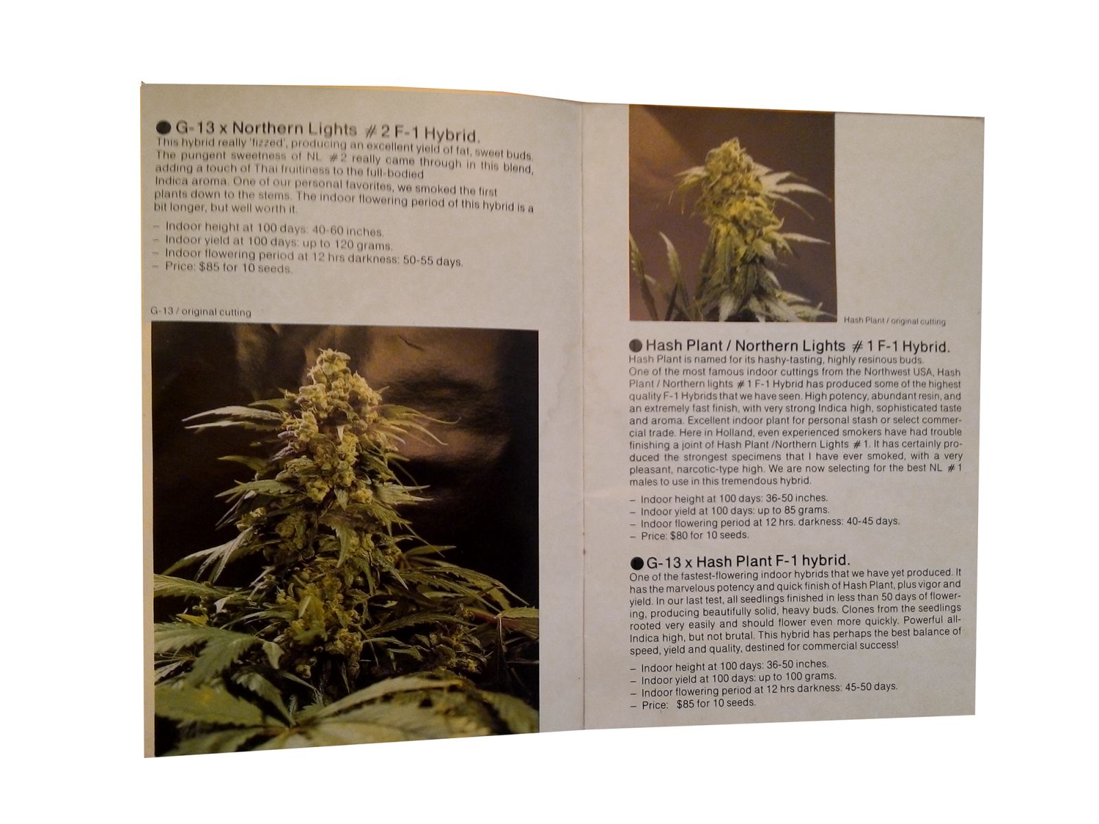 The Seedbank   katalog nasion Z 1988 roku   strona 2