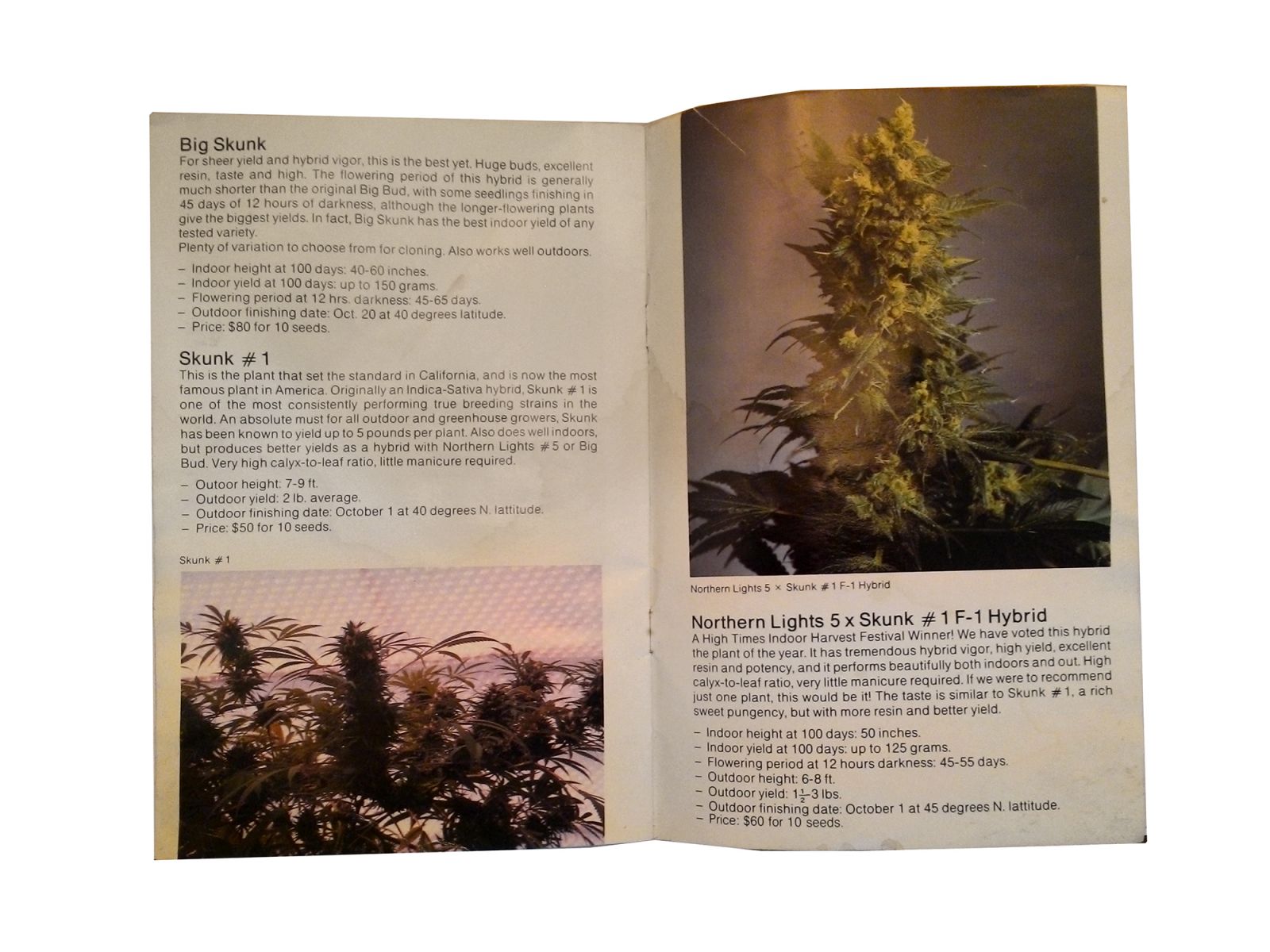 The Seedbank   katalog nasion Z 1988 roku   strona 5