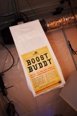Boost Buddy -Super Silver Haze, Super Lemon Haze, Critical + Special Kush BioTabs Air Dome 600w