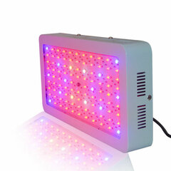 led 300 w