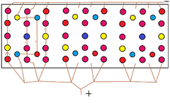 panel12v V2