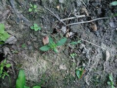 IMG_20160618_151008.jpg