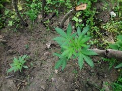IMG_20160626_102251.jpg