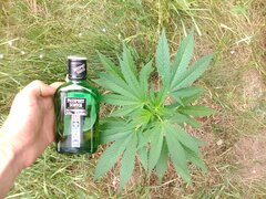 IMG_20160626_110521.jpg