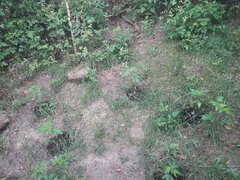 20160627_190849.jpg