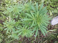 20160702_160500.jpg