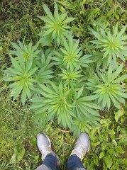 20160713_072542.jpg