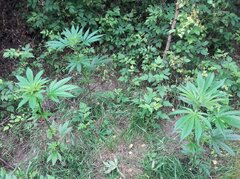 20160716_092456.jpg