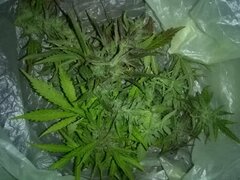 IMG_20160820_203052.jpg