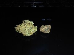 IMG-20160831-083252.jpg
