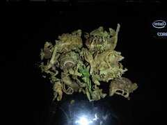 IMG_20160831_083738.jpg