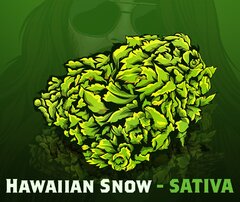 hawaiiansnow.jpg