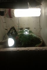 IMAG0964.jpg