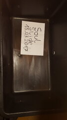 20170318_190908.jpg