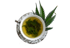 hemp tea herbata konopna