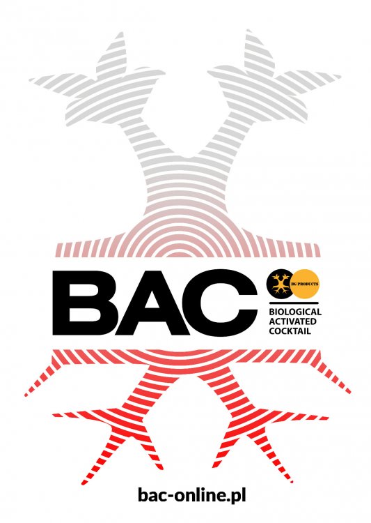 Logo BAC PL.jpg