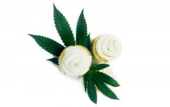 Cannabis cookie - cannabis cupcake maso konopne