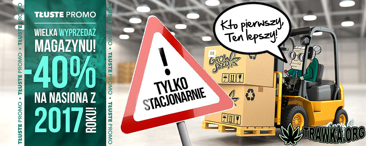 - 40% na nasiona z 2017!