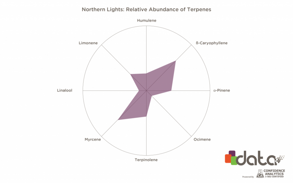 Northern-Lights-1024x641.png