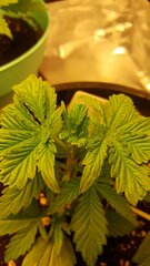 20190105_092804.jpg
