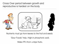 nutritive-cycle-10.jpg