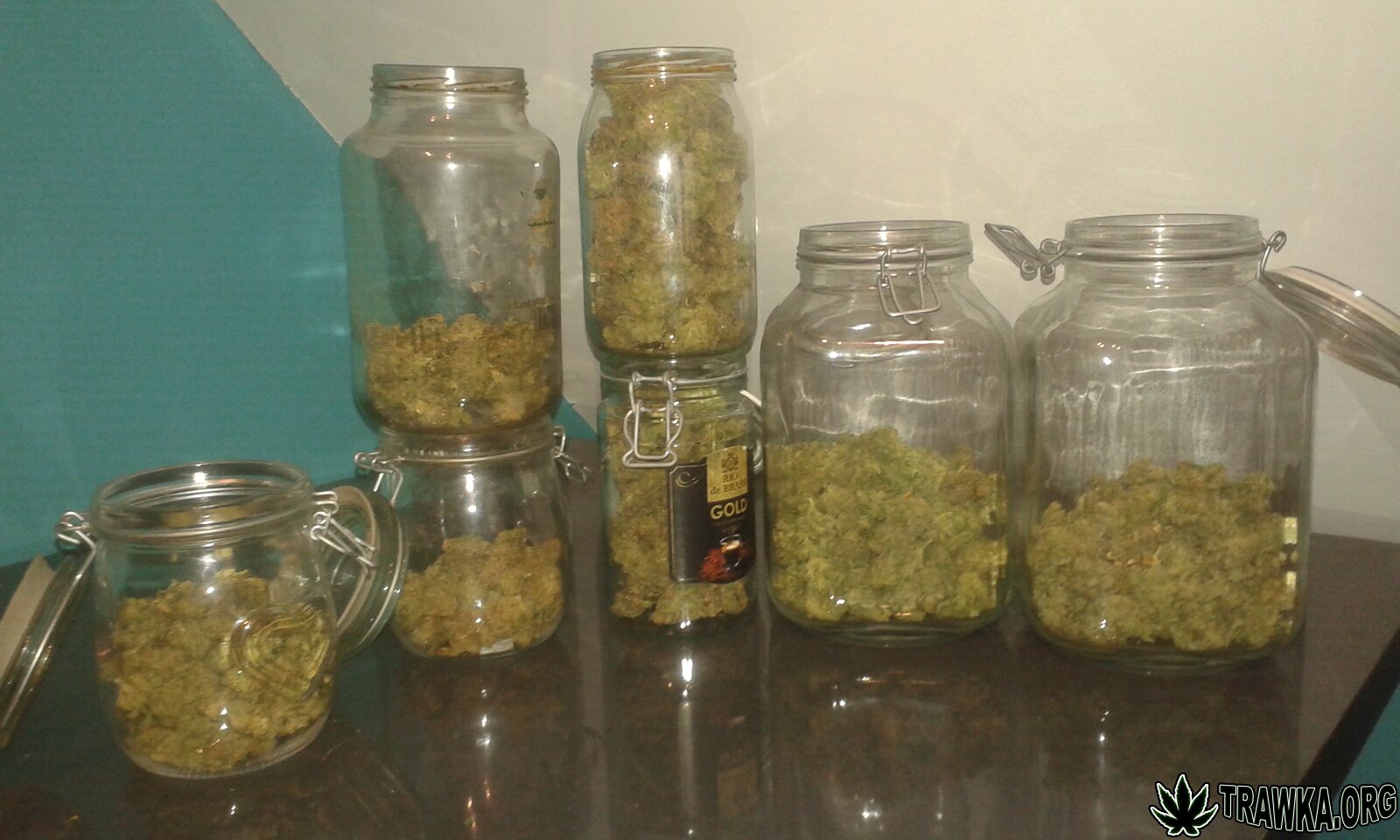 Chemdawg, Gorila Glue, Critical XXL, Critical Kush, Blueberry