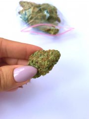 Marihuana z CBD