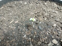 IMG_20210122_090119_492.jpg