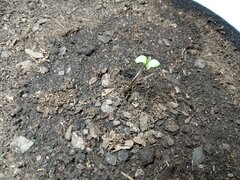 IMG_20210122_090154_589.jpg