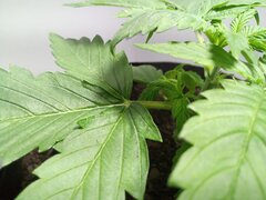 IMG_20210207_115348_663.jpg