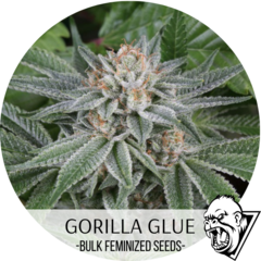 Gorilla Glue 1 - Newsletter 11.01.23.png