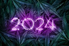 tapeta-led-napis-2024-marihuana-630917.jpg