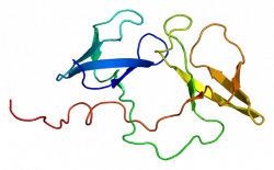 1.-The-structure-of-the-FMR1-gene-©-EMW-Wikimedia-Commons-250x155.png