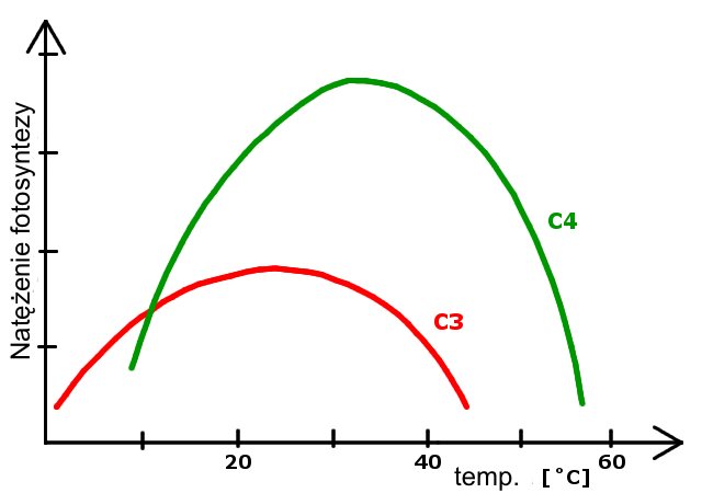 Photosynthesis_-_temperature_graph_(pl).png