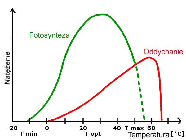 Photosynthesis_and_respiration_-_temperature_and_light_graph_(pl).png