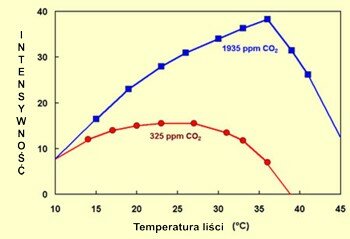 intensywnosc_fotosyntezy_w_zaleznosci_od_temperatury.jpg