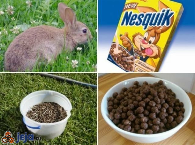 3803_jak-powstaja-platki-nesquik.jpg