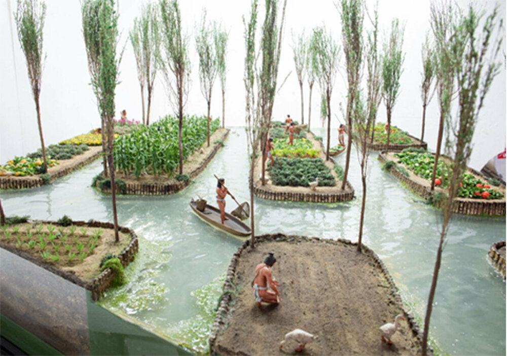 chinampas herbshydro37.jpg