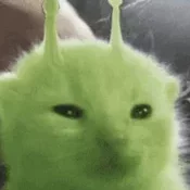ripreq