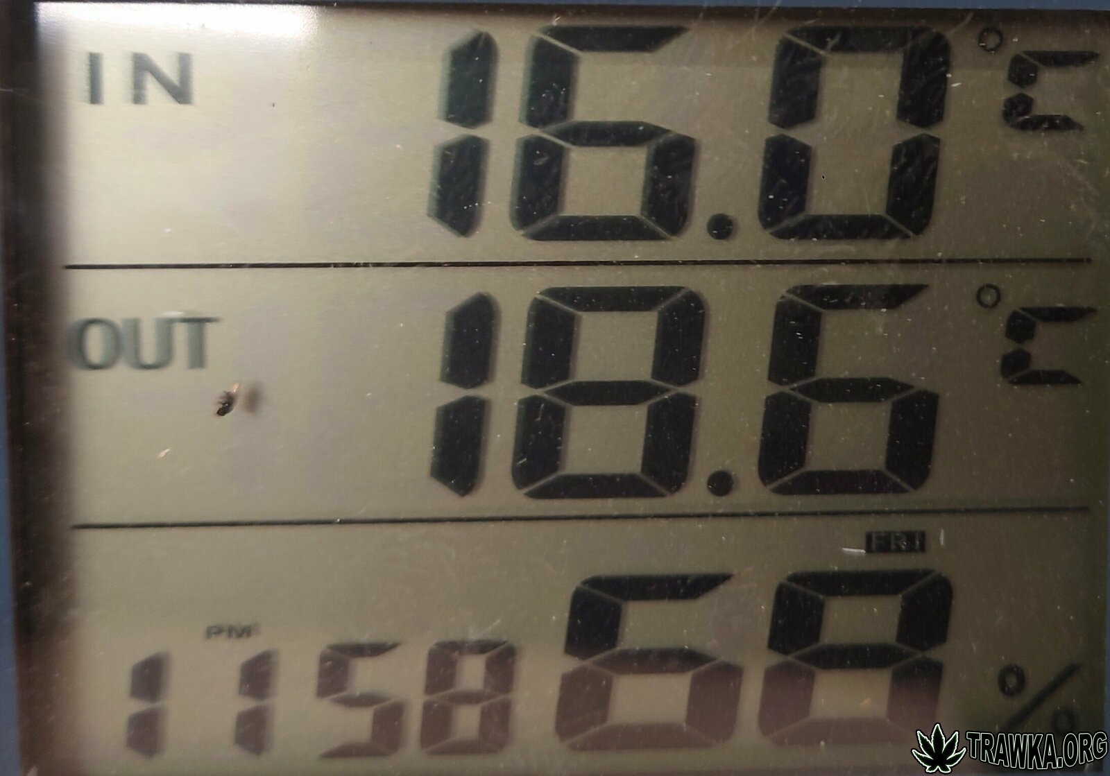 large.Temp2025_05.24at204615-Photo-1.JPG