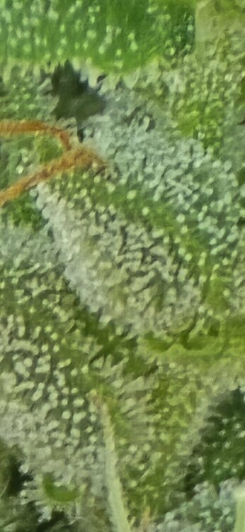 20250611_190630.jpg